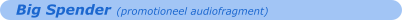 Big Spender (promotioneel audiofragment)